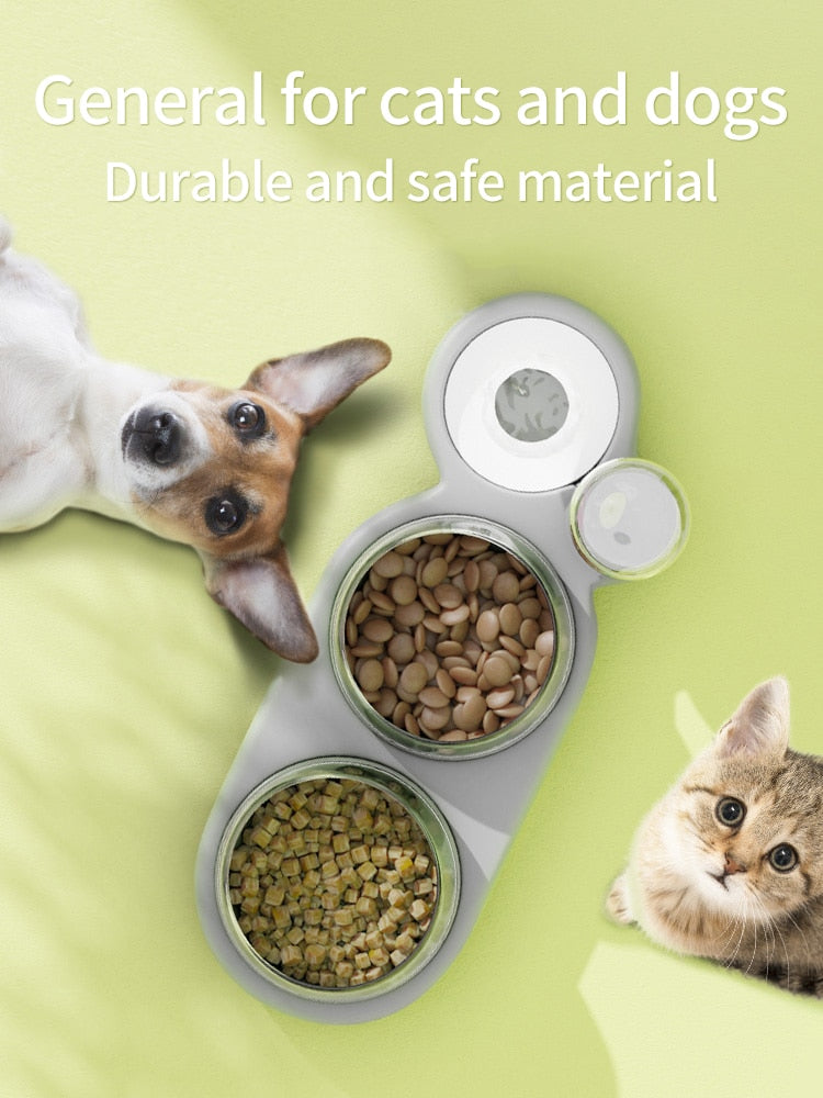 Pets Automatic Feeder And Water Bowls