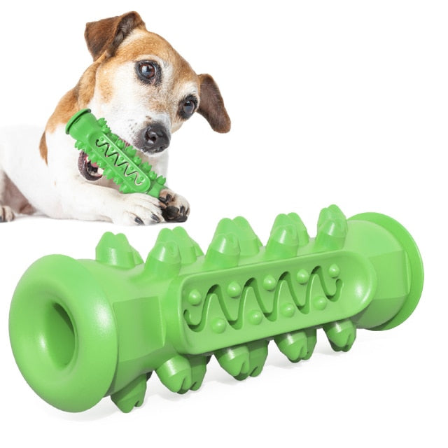 Dog Molar Toothbrush Toy