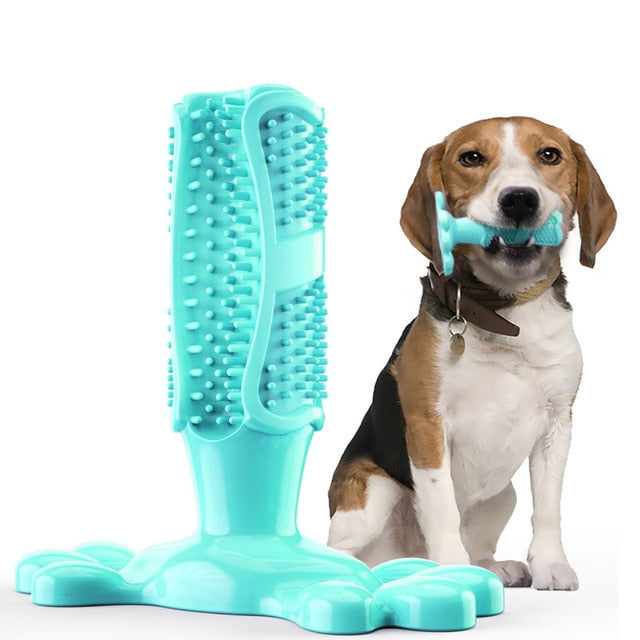 Dog Molar Toothbrush Toy