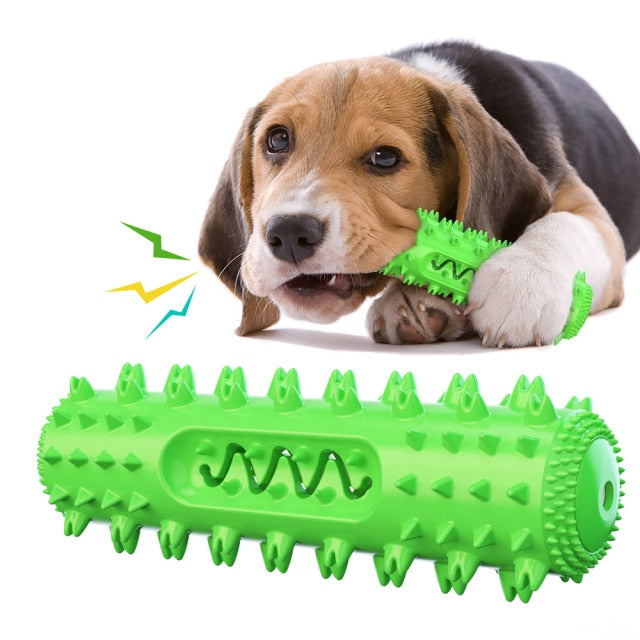 Dog Molar Toothbrush Toy